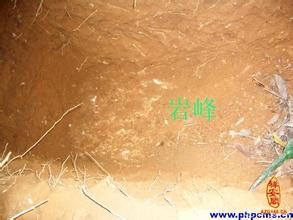 易经风水太极晕