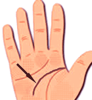 彰显才气的手纹